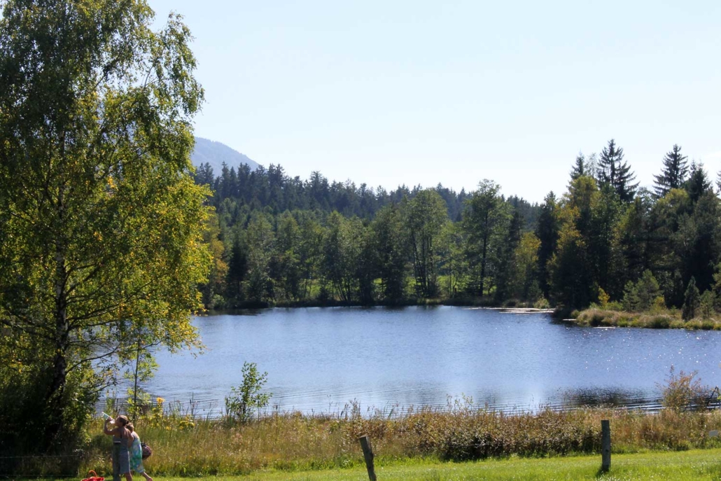 Moorsee zum Baden ganz in der Nähe